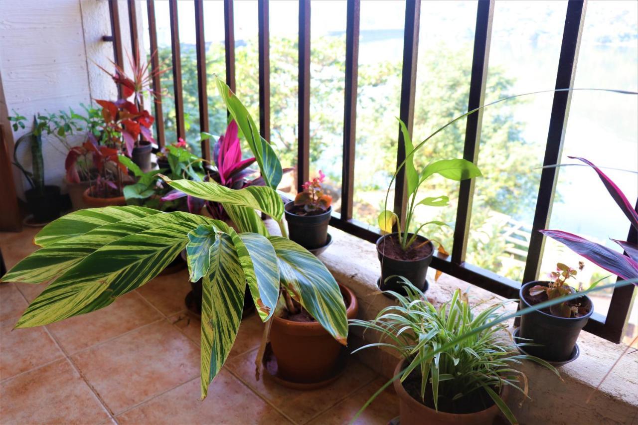 Portofino Apartment ลาวาซา ภายนอก รูปภาพ